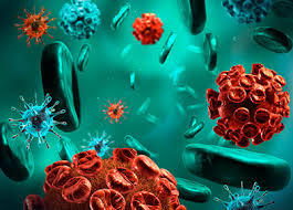 Infection à VIH et coïnfections VIH/VHB et VIH/VHC